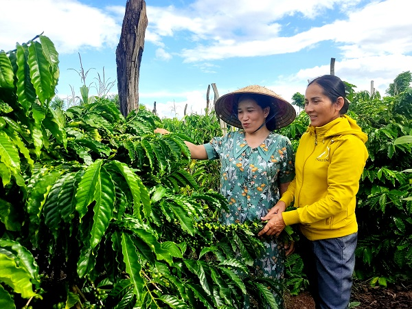 Đắk Lắk: Phụ nữ thay đổi nếp nghĩ, cách làm để phát triển kinh tế, giảm nghèo bền vững  (27/01/2023)